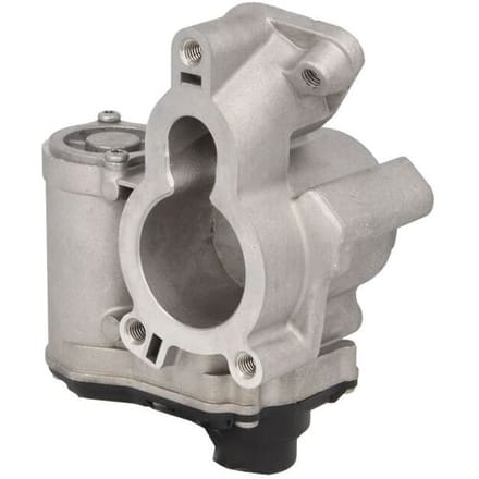 Borg Warner EGR-klep WAHLER 710939D