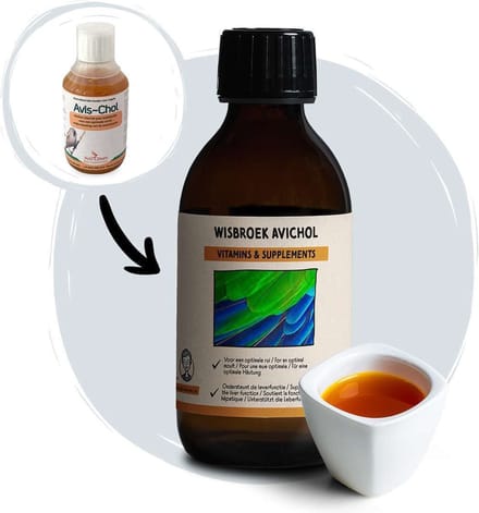 Avichol - Supplementen - Vogelvoer