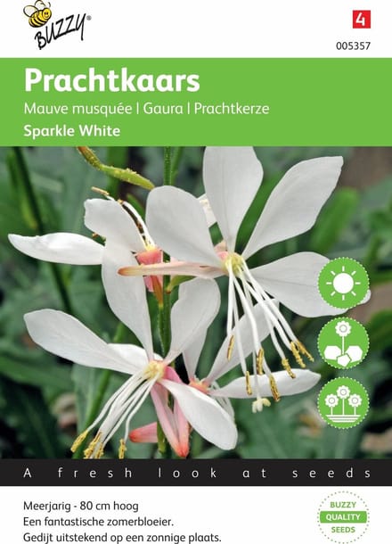 Buzzy® Gaura lindheimerii Sparkle White