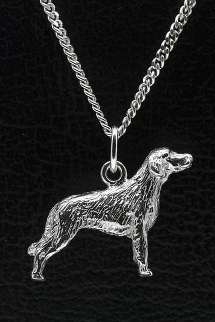 Zilveren Duitse staander langhaar ketting hanger - groot