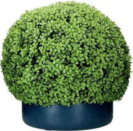 Buxus bolgroen, maat S - F1003-52-91
