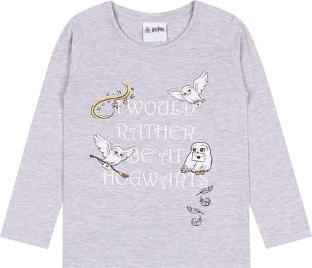 Grijs meisjes t-shirt van Harry Potter / 110 cm