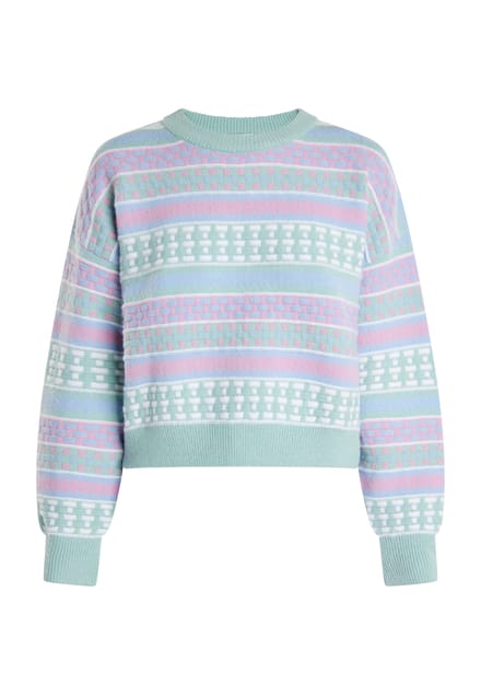 IZIA Jumper Dames Munt veelkleurig