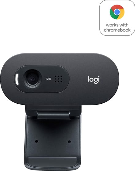 Logitech C505 - Webcam - HD Webcam