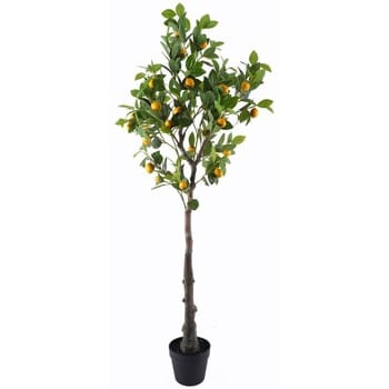Kunstplanten Signes Grimalt Citroenboom Xgra.