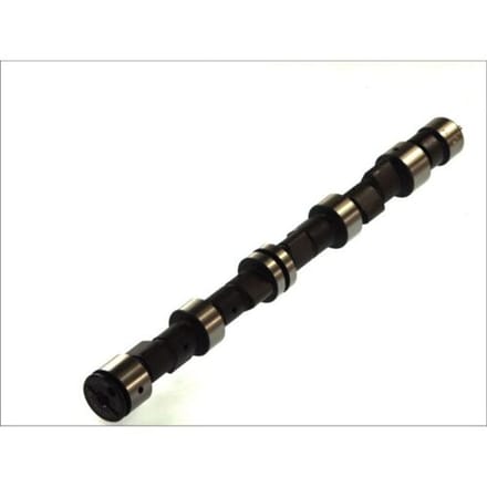 Nokkenas  AE CAM359