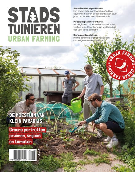 Stadstuinieren - 03 2025