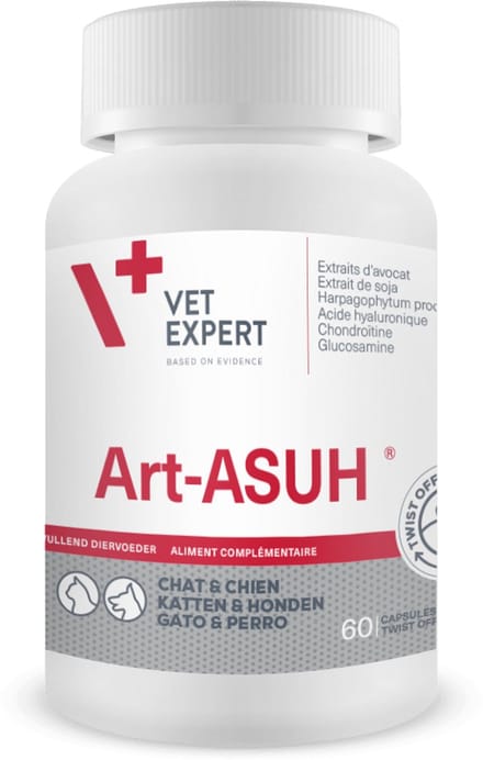 Art-ASUH S - 60 Capsules