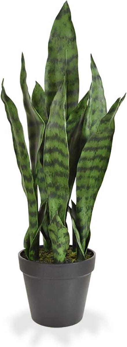 Sanseveria kunstplant N 50cm - groen