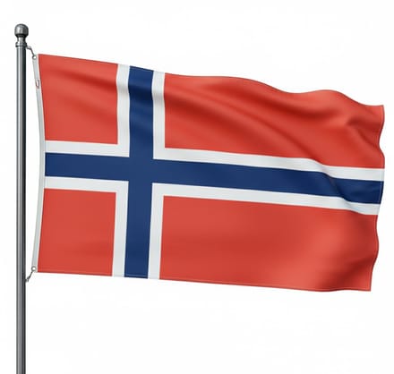 Trasal - vlag Noorwegen - noorse vlag - 150x90cm