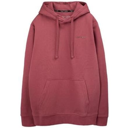 Capuchon sweaters Teddy Smith Nark