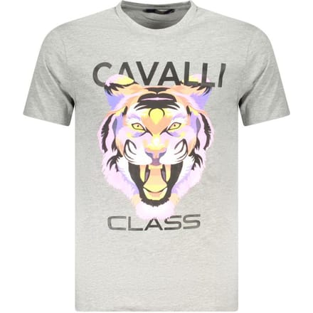 Tijger Grafisch T-shirt