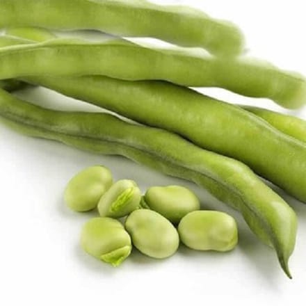 Tuinboon | Wintertuinboon Aguadulce ca 100 gram