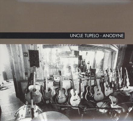 Anodyne (Expanded and Remastered)