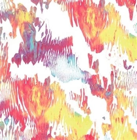 Xiphiidae - Pass Hidingly Seek (LP)