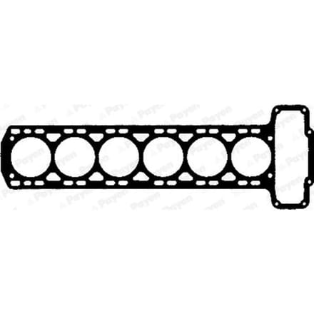 Cilinderkoppakking PAYEN AG570