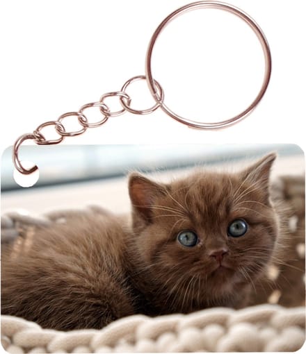 Sleutelhanger 6x4cm - Britse Langhaar Bruin