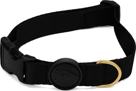 Morso - Halsband Hond - Gerecycled - Gold Caviar Goud - 30-42X1.5 cm