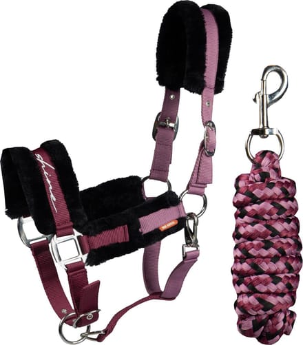 Red Horse - Halster Set - Ride & Shine - Paars - Mini