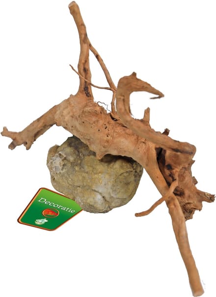 De Boon Spiderwood met rots | natuurlijk aquarium ornament | 10-20 cm