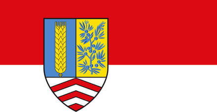 Vlag Steinhagen 100x150cm