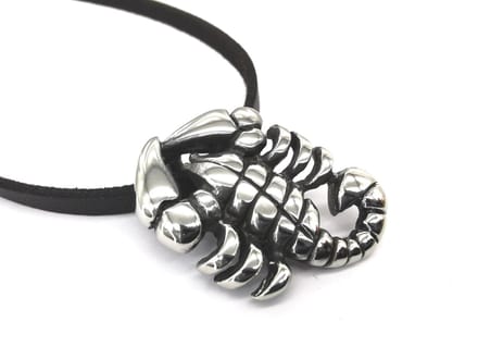 Stoere RVS Schorpioen hanger met prachtig platte ketting 50 cm