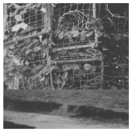 Cremation Lily - The Processes And Instruments Of Normal People (LP)