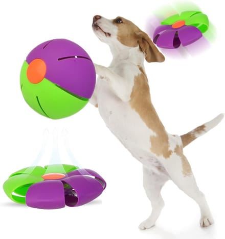 Stuiterende Bal - Magische Bal - Spelen Binnen - Dubbele Vorm - 11 x 11 cm