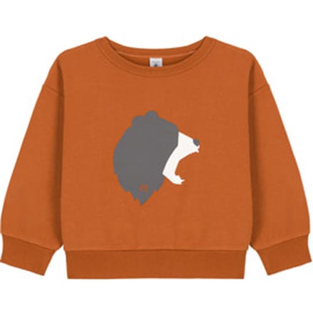 Petit Bateau  Sweaters CARTABLE