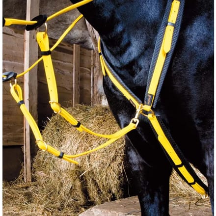 Jachthalsband voor paarden T de T