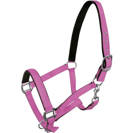 Halster voor paarden York
