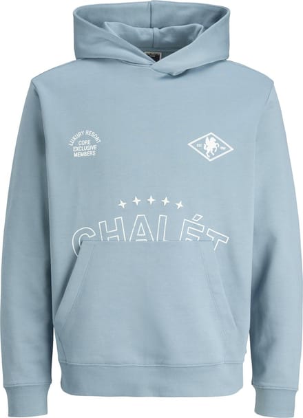 JACK&JONES - JCOCREST PRINT SWEAT HOOD - Heren - Sweaters
