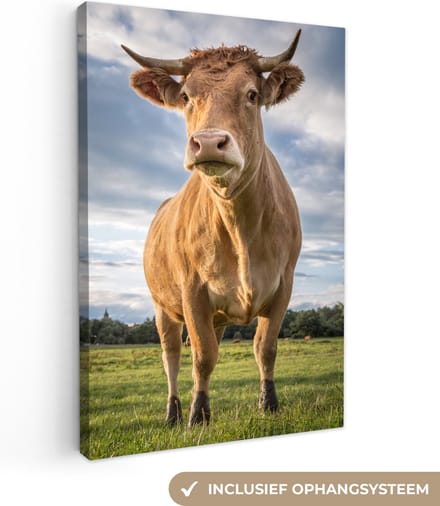 Canvas Schilderij Koe - Bruin - Natuur - 20x30 cm - Wanddecoratie