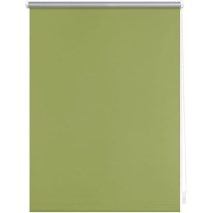 LICHTBLICK Thermo-rolgordijn Klemmfix (groen, 60 x 220 cm)