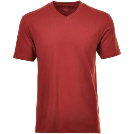 Ragman T-Shirt Uni V-Neck Single Jersey Wijnrood / male