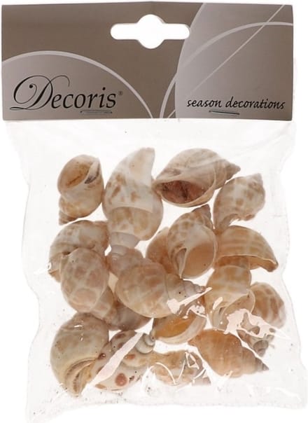 Decoris Strombus Canarium - decoratie schelpen 4 cm - natuurlijk - maritiem - strand thema