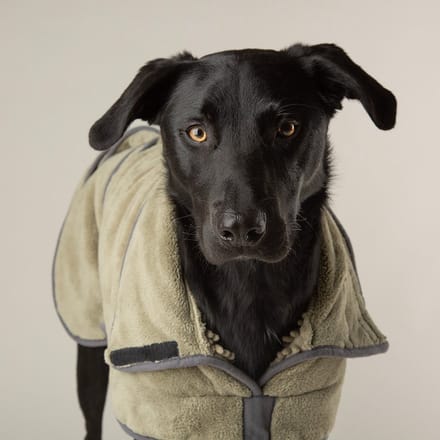 Scruffs - Expedition Deluxe Noodle Dog Drying Coat Kleur: Sage Green Maat: Medium