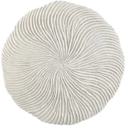 PTMD Wandpaneel Kathelle - 35x6x35 cm - Poly - Wit