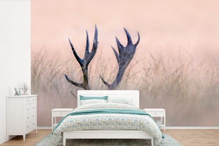 Behang - Fotobehang Gewei - Hert - Gras - Natuur - Breedte 420 cm x hoogte 280 cm