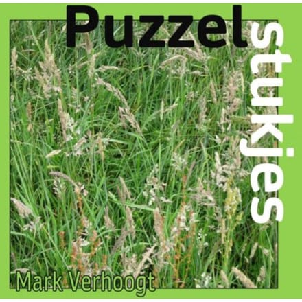 Puzzelstukjes - Mark Verhoogt