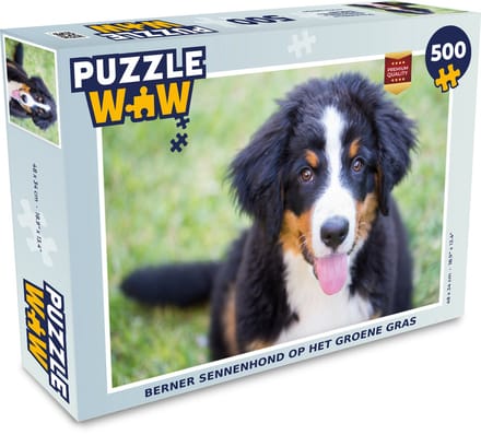 Puzzel Berner Sennenhond op het groene gras - Legpuzzel - Puzzel 500 stukjes
