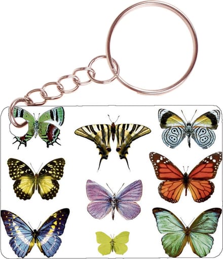 Sleutelhanger 6x4cm - Diverse Vlinders - Verzameling