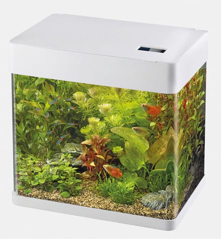 Panorama Aquarium - 32x23x35.5 cm - 20L - Wit
