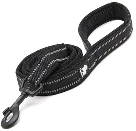Hondenriem voor Puppy’s - Gewatteerde Reflecterende Wandelriem 200 cm