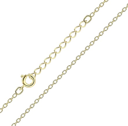 WeLoveSilver - gold plated ketting - 925 zilver - 45 cm - luxe