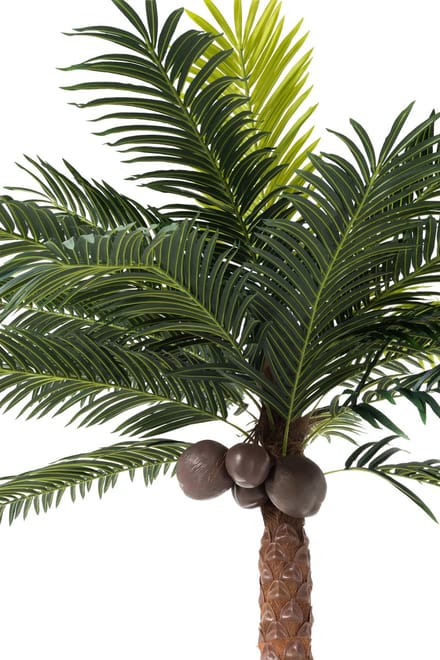J-Line palmboom 4kokosnoten in pot - kunststof - groen