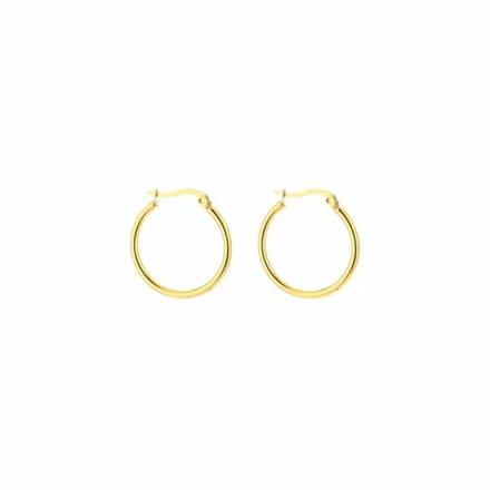 Bijoutheek Oorringen (25mm x 2mm) Gold