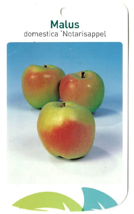 Oosterik home - Malus Domestica Notarisappel