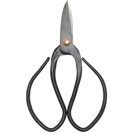 Bonsai shears S - 12 cm - Bonsai tool
