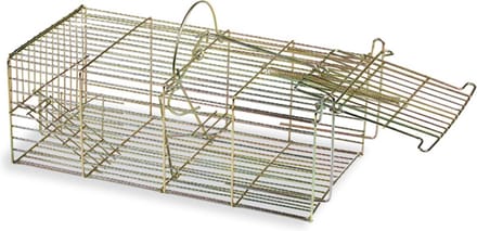 Ratten inloopval